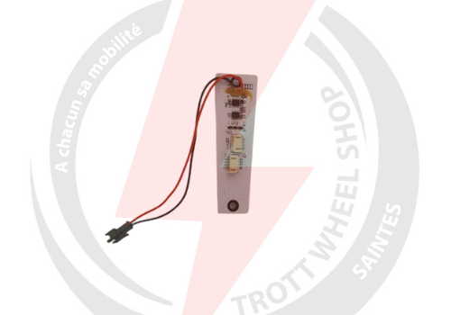 Contrôleur led ancienne version pour Dualtron