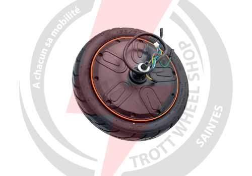 Moteur 500 watt inmotion air pro