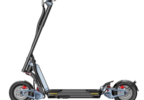 INMOTION RS BW